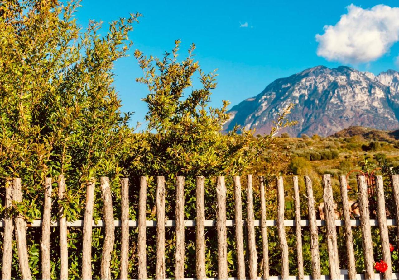 Hotel Alpeta Agrotourism&Winery - Roshnik , Berat Extérieur photo